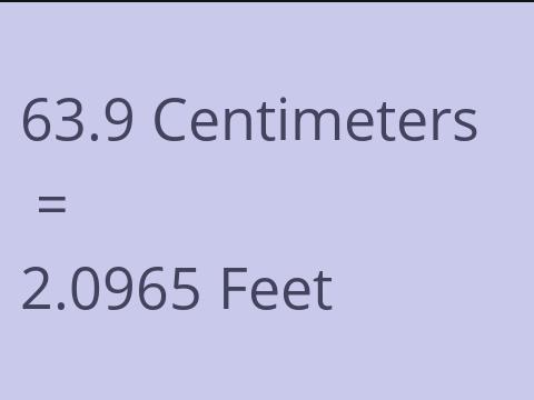 63.9 CM TO FEET