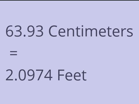 63.93 CM TO FEET