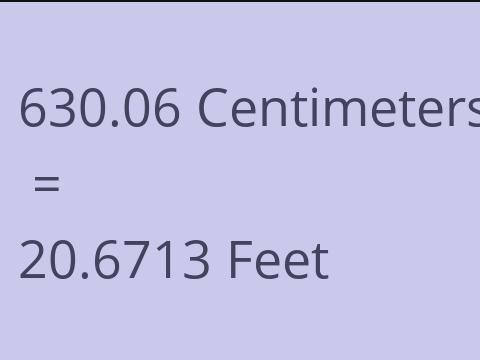 630.06 CM TO FEET