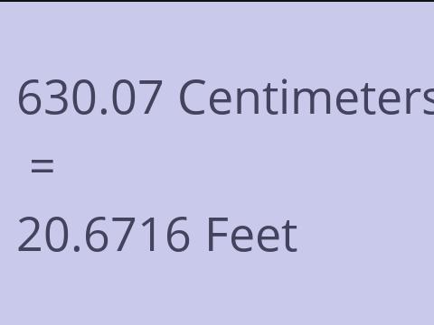 630.07 CM TO FEET