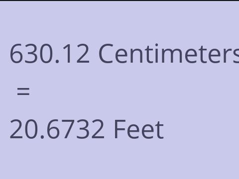 630.12 CM TO FEET