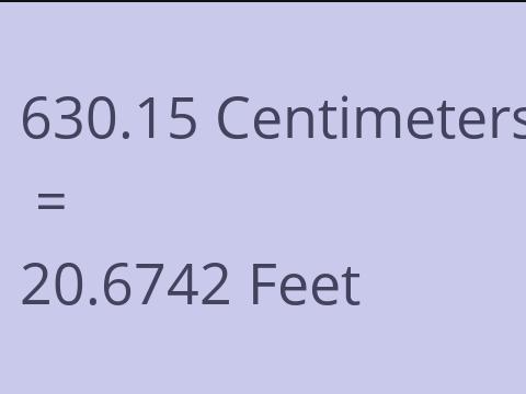 630.15 CM TO FEET