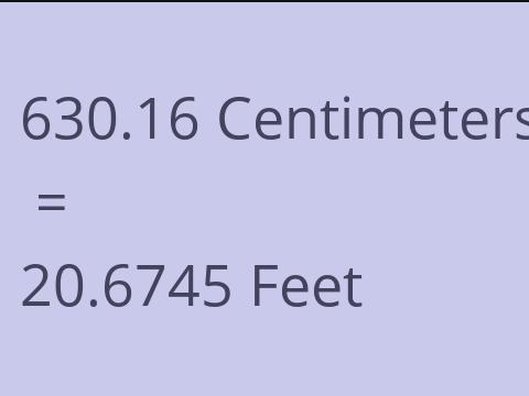 630.16 CM TO FEET