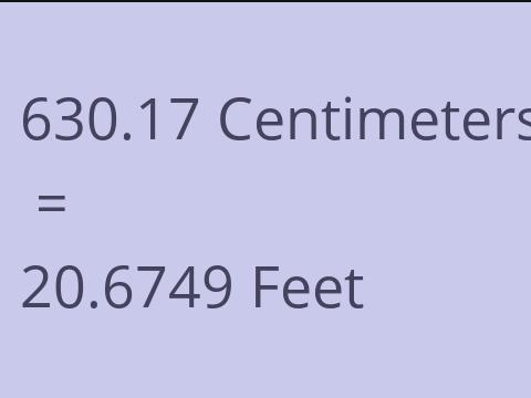 630.17 CM TO FEET