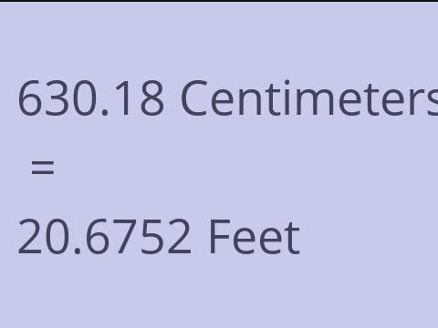 630.18 CM TO FEET