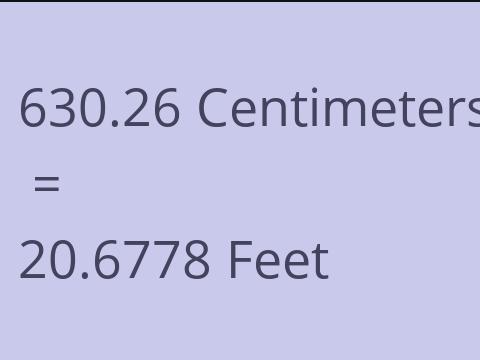 630.26 CM TO FEET