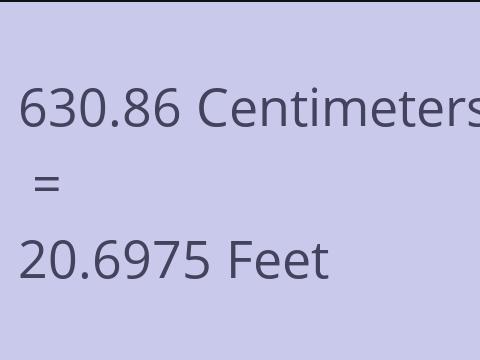 630.86 CM TO FEET