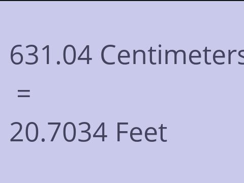 631.04 CM TO FEET