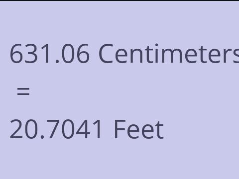 631.06 CM TO FEET