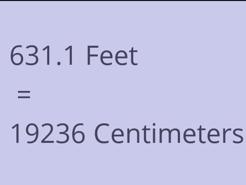 631.1 FEET TO CM