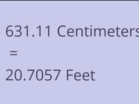 631.11 CM TO FEET