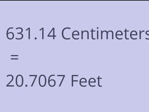 631.14 CM TO FEET