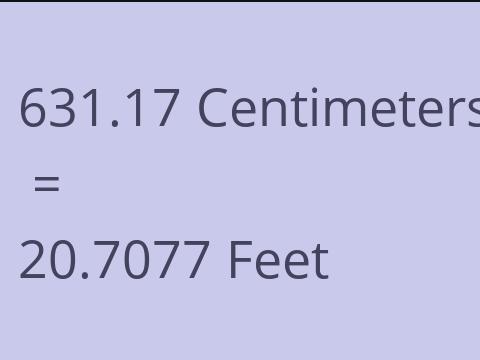 631.17 CM TO FEET