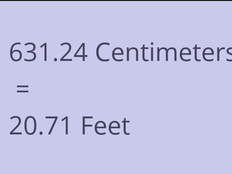 631.24 CM TO FEET