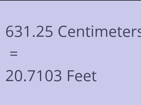 631.25 CM TO FEET