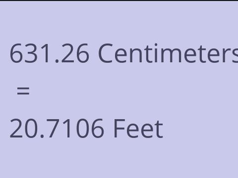 631.26 CM TO FEET