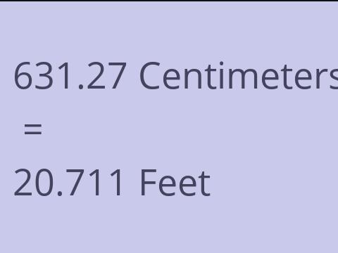 631.27 CM TO FEET