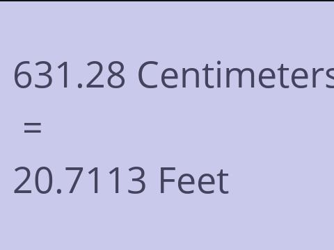 631.28 CM TO FEET