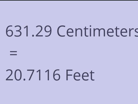 631.29 CM TO FEET