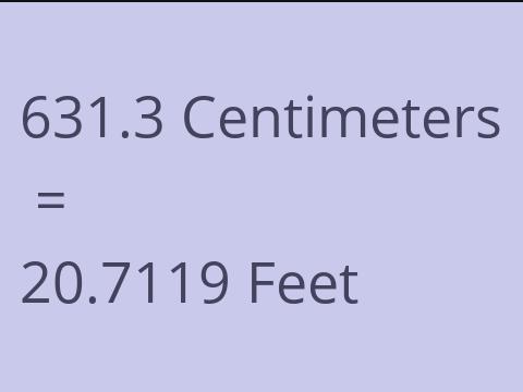 631.3 CM TO FEET