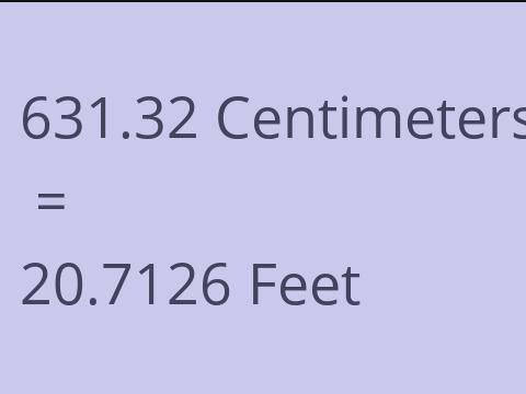 631.32 CM TO FEET