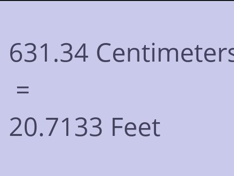 631.34 CM TO FEET