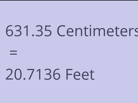 631.35 CM TO FEET