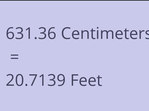 631.36 CM TO FEET