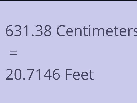 631.38 CM TO FEET