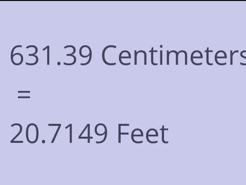 631.39 CM TO FEET