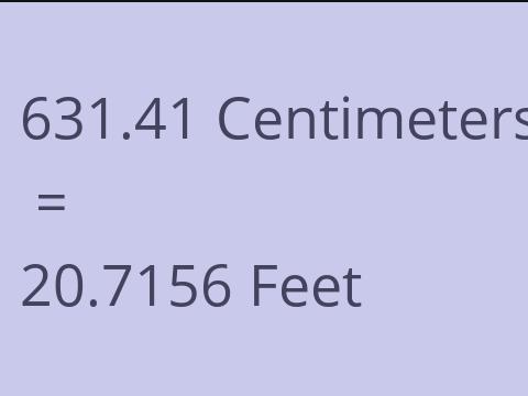 631.41 CM TO FEET