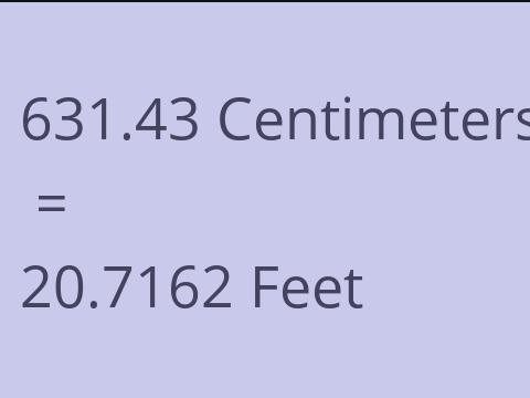 631.43 CM TO FEET