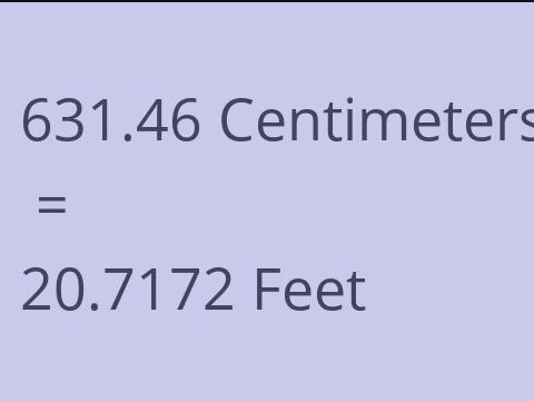 631.46 CM TO FEET