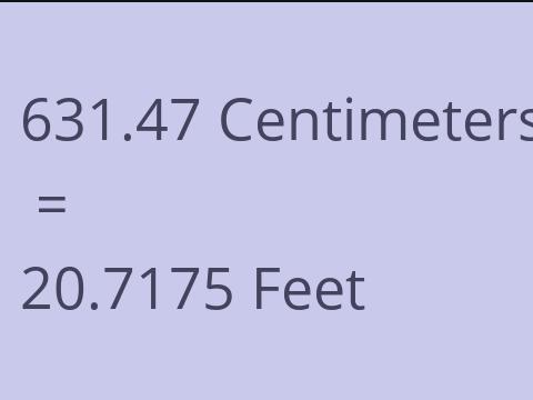 631.47 CM TO FEET