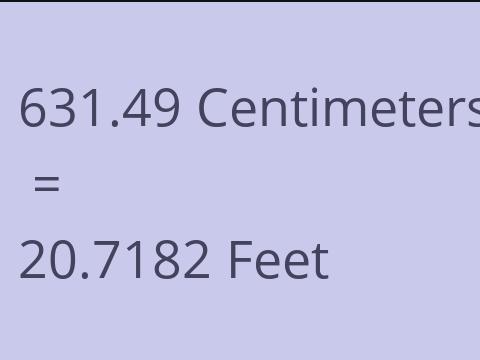 631.49 CM TO FEET