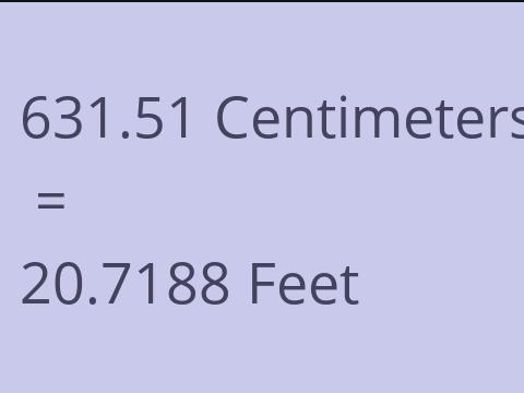 631.51 CM TO FEET