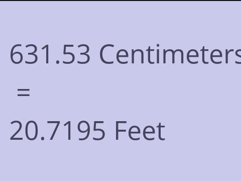 631.53 CM TO FEET