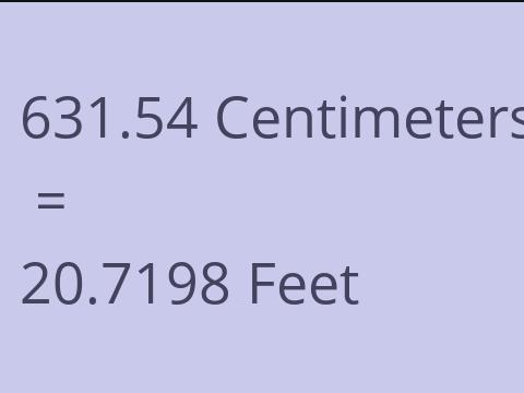 631.54 CM TO FEET