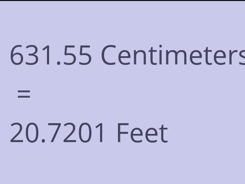 631.55 CM TO FEET