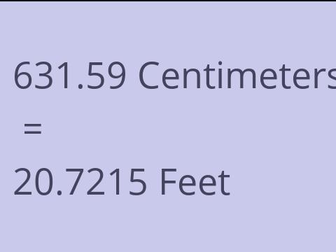 631.59 CM TO FEET