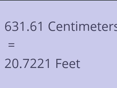 631.61 CM TO FEET