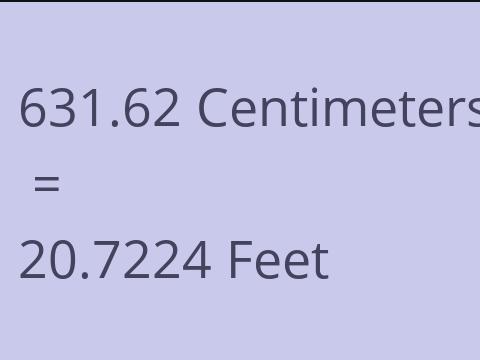 631.62 CM TO FEET