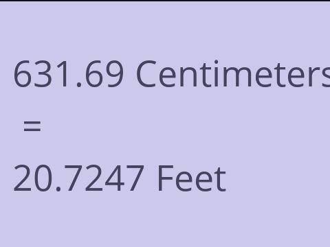 631.69 CM TO FEET