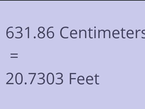 631.86 CM TO FEET