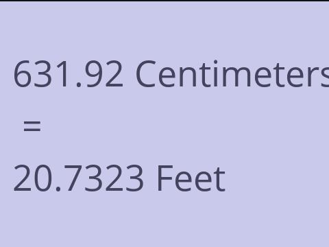 631.92 CM TO FEET