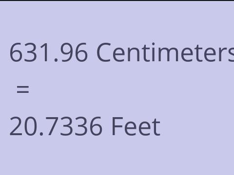 631.96 CM TO FEET