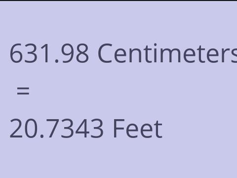 631.98 CM TO FEET