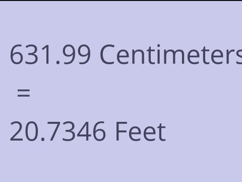 631.99 CM TO FEET