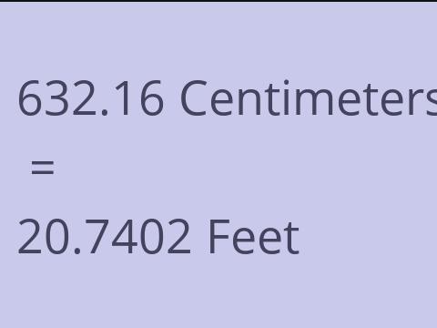 632.16 CM TO FEET