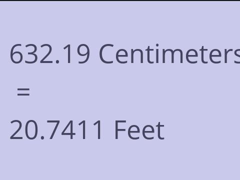 632.19 CM TO FEET